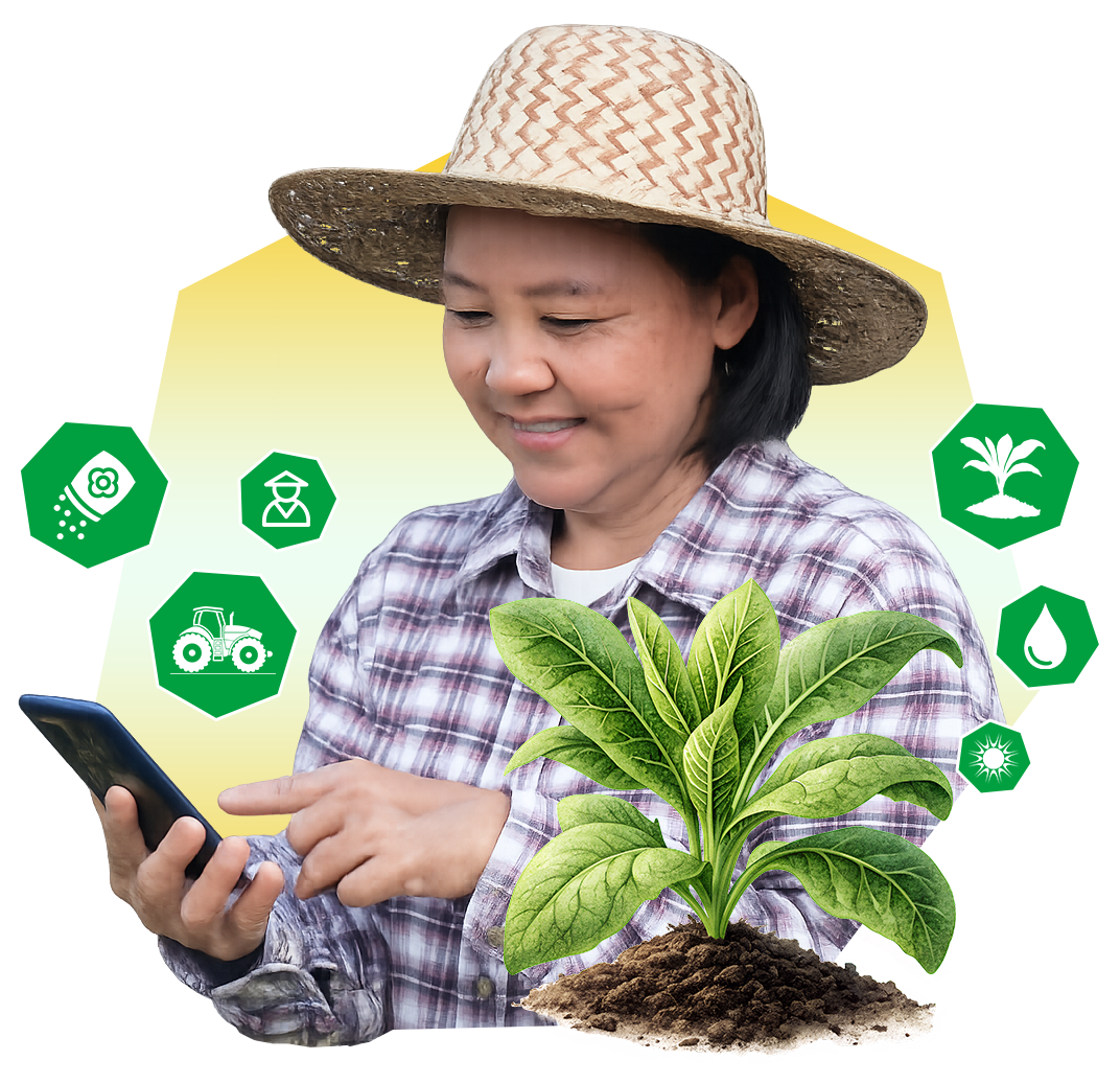 Ilustrasi Tembakau Modern